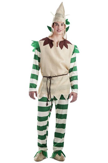 Costume d'elfe