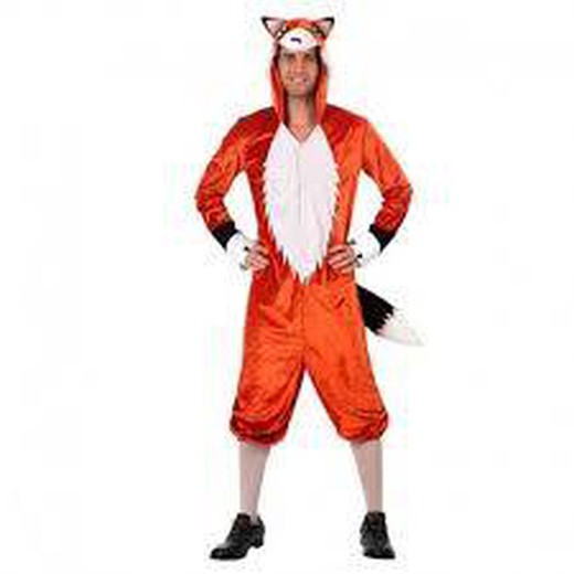 Costume de renard