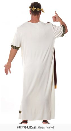 Adult Augustus costume