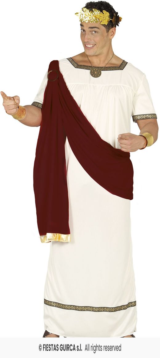 Adult Augustus costume