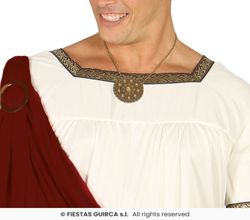Adult Augustus costume