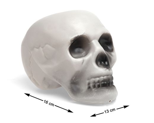Cabeza Calavera 13X16 Cm