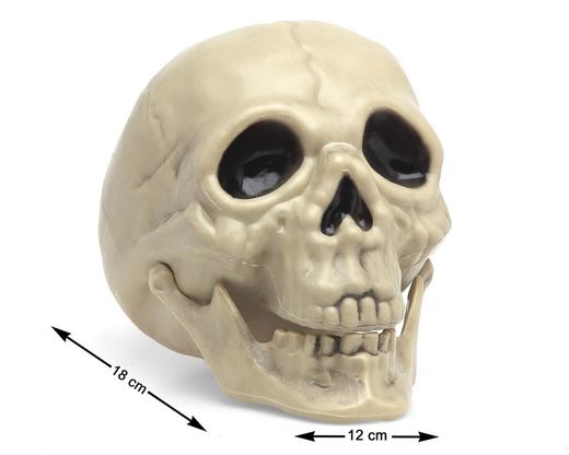 Cabeza Calavera 17,5X12X14Cm