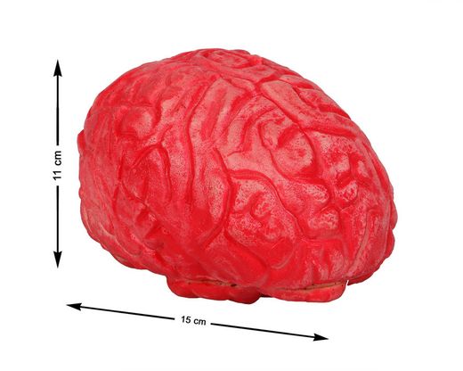 Cerebro 15X11Cm Despojos Humanos