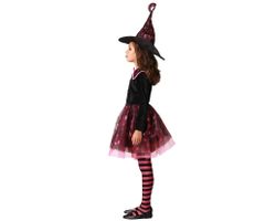Disfraz Bruja Fucsia Infantil