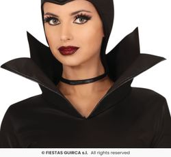Disfraz bruja malvada malefica adulta