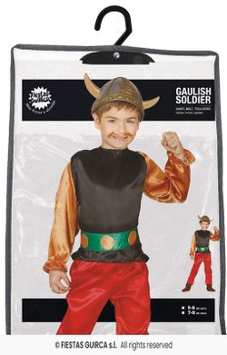 Asterix costume