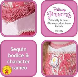 Sleeping Beauty Costume