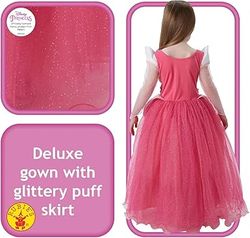 Sleeping Beauty Costume