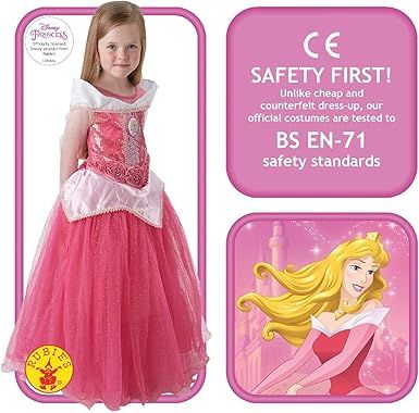 Sleeping Beauty Costume