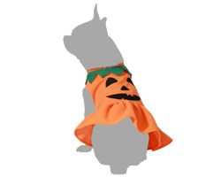 Disfraz de Calabaza para mascotas