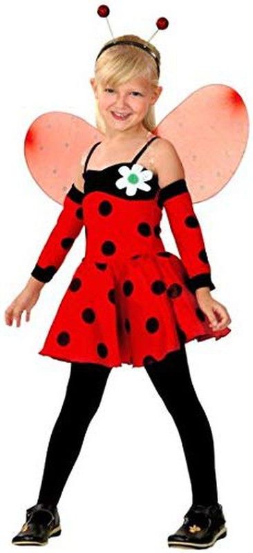 Ladybug Fairy Costume