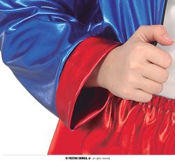 Disfraz de Harley Quinn