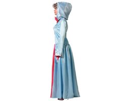 Disfraz Hada Madrina Azul cenicienta Adulta