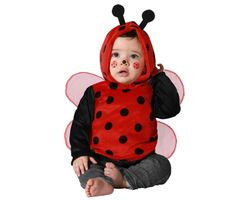 Disfraz Mariquita Bebe