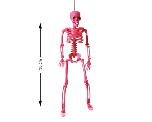 Esqueleto Articulado 38 Cm Rosa